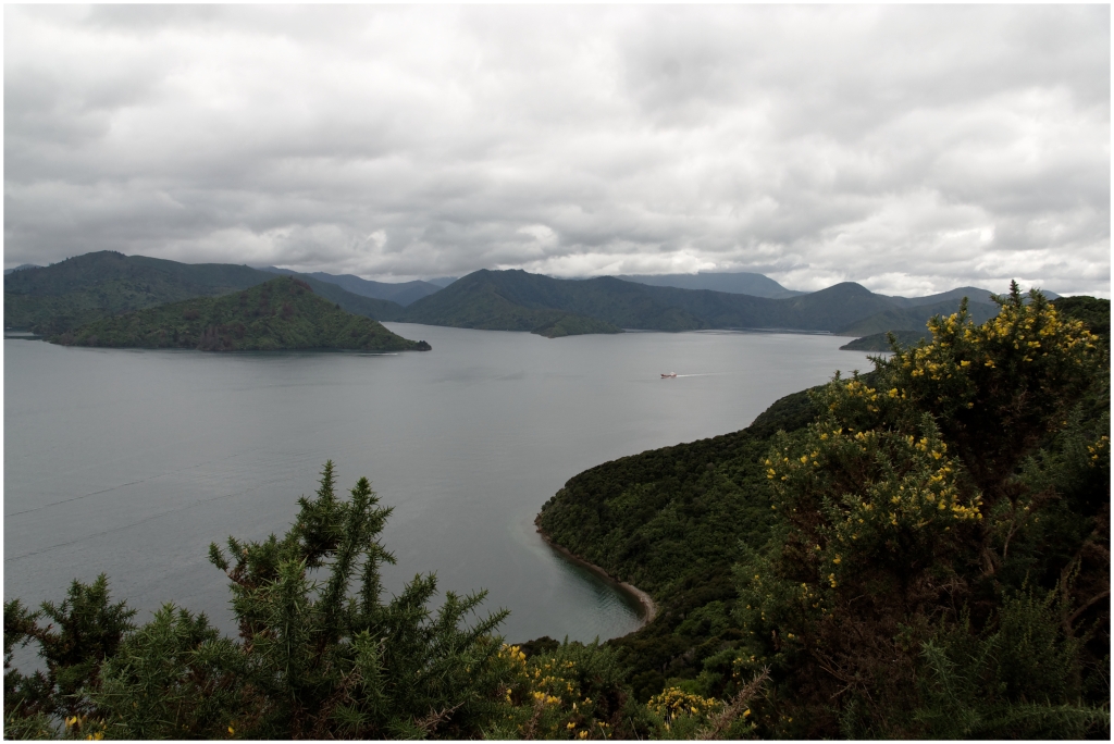 12 - Queen Charlotte  (01).jpg